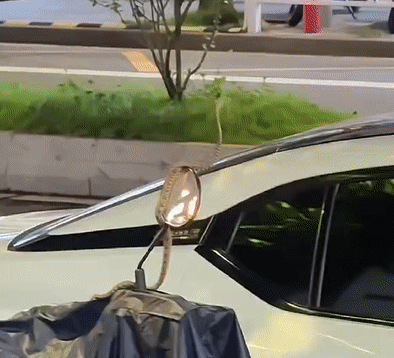 c70253b89981004f9d496df985c72144.gif