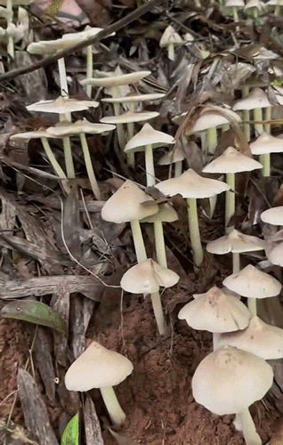 2fe3a341a563f64e730f70a6ffffcd62.gif