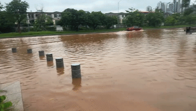 cf6c65258d798298d7141962c40b4aad.gif