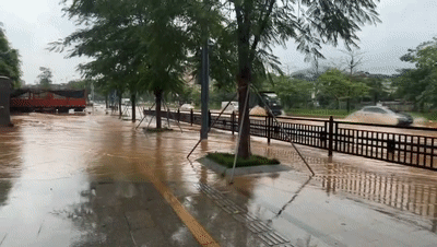 2442b8ca529b8bc2d1279510659a3ae5.gif