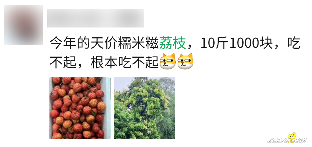 d42b5289f50d4aeb8ac5f709030e3a60.png