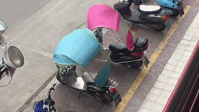 9116ccbeb87184d4c0cd34a6cd330731.gif