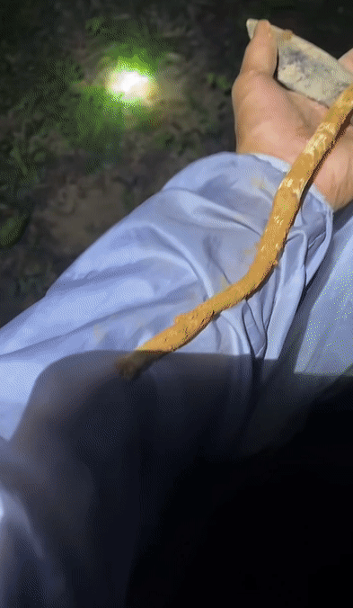 6a9893ce893efccd74a554bae016fbcf.gif