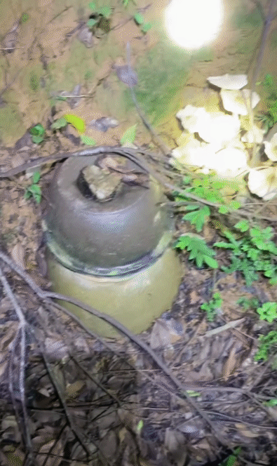 da41bddbb22855d05be8c1e1a1b42931.gif