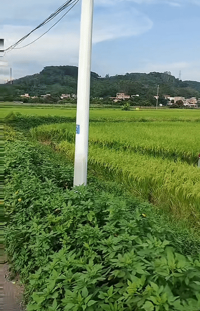 b7569068dfb7a07ac24a4c6b6602611b.gif