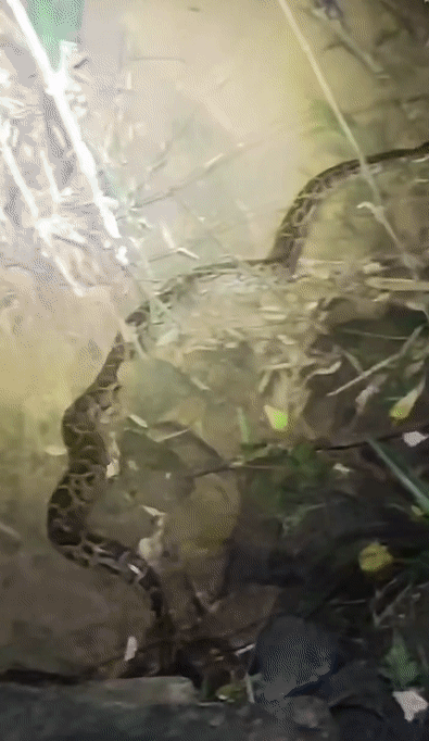 8e7114e7dfb4570223085eb4b594b1d1.gif
