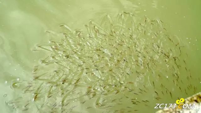 5e9d0fa47fd681c34421364000e877b6.jpg