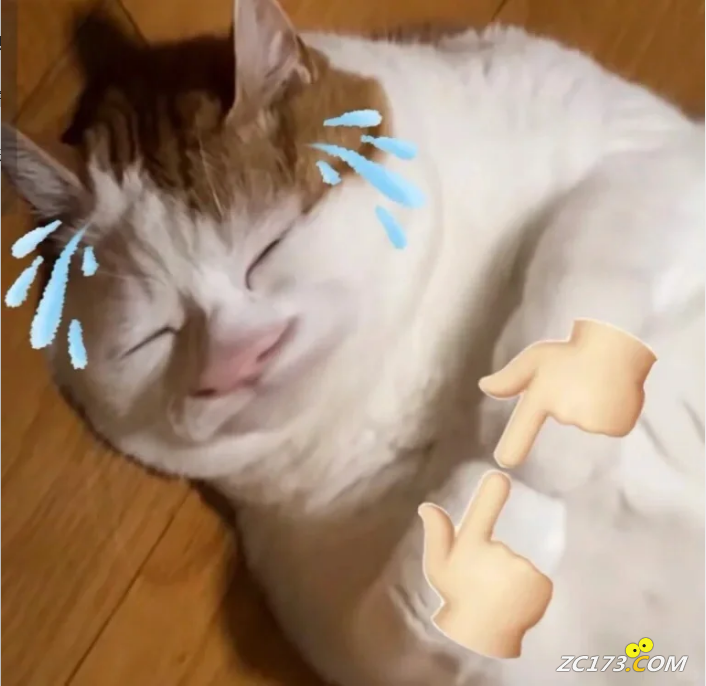 2e33c3de9cd463a838fcab97c0352de2.png