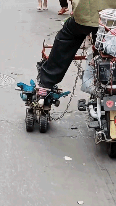 f8bb37ce56160cf1b0f66be707389ce4.gif