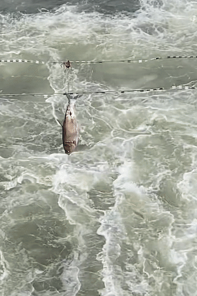 08efc2266958694d6f4af99f62d8c87e.gif