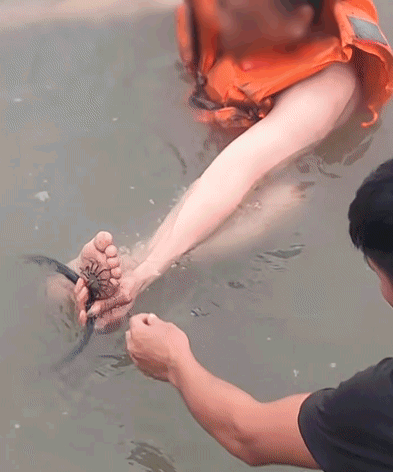 9a9eddaa3c58e5c70ce9df5b7b5fbc7a.gif