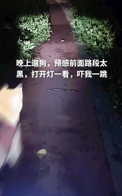 1be53e73873ed68860afa0e8a9e03a3d.gif