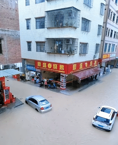 72f2619ccd3a625282ebf28366a662dd.gif