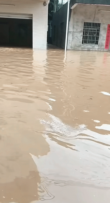 21c1218ab2d0634de14d7eaef6214683.gif