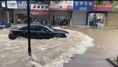b87333d1e1e3b31ddb788defac771229.gif