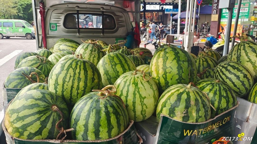 02c2e4f55e366f35a8aaefd5cdc3f063.jpg