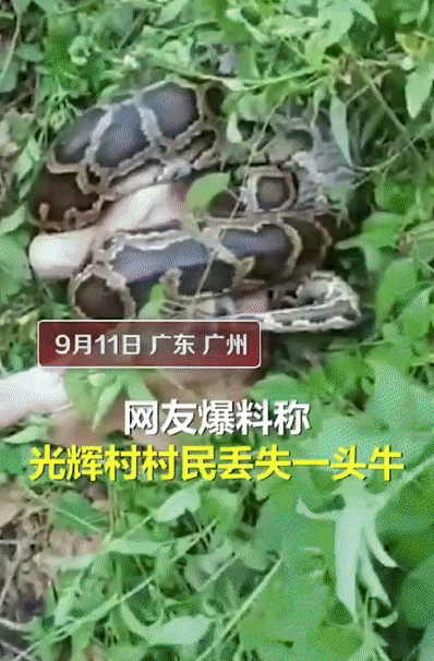 231653a78f670d3ed851ad780952b8a9.gif