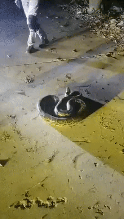 c6b62b532bca92bda79e7b033c402c32.gif