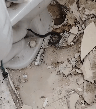 7da275985e0736ed3c6d3ecaba4e0316.gif