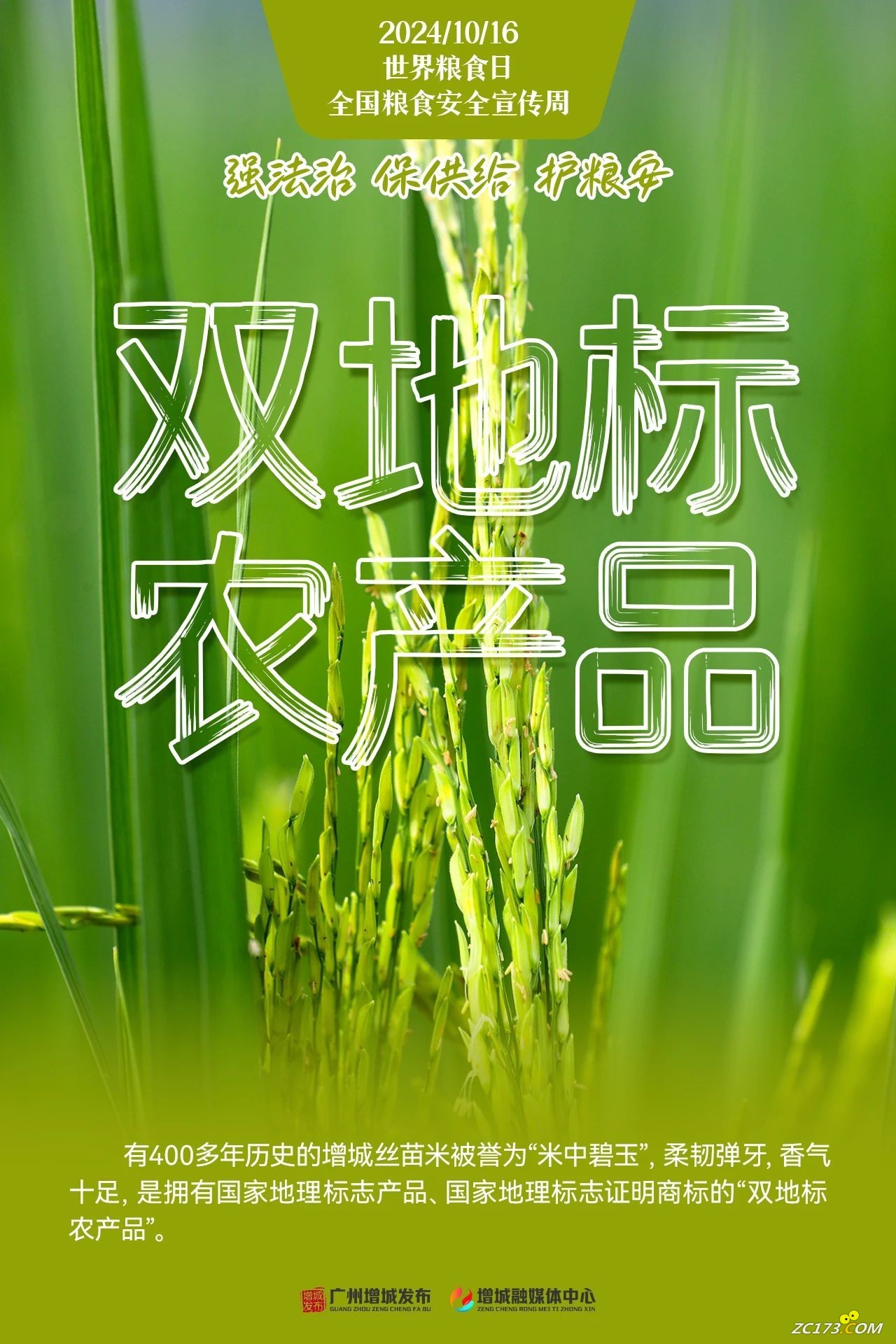10fe0bd0dca52a24cb197f037a1df164.jpg