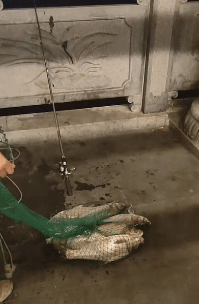 e55a86ba9f845f3864336dea6560580f.gif