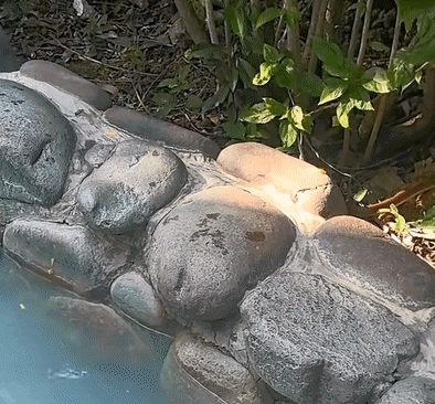 05a73c60da81d68f015b5dbf0d980ac4.gif