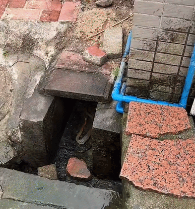 7c6f2ba2243fe29284c8c31a746faac0.gif