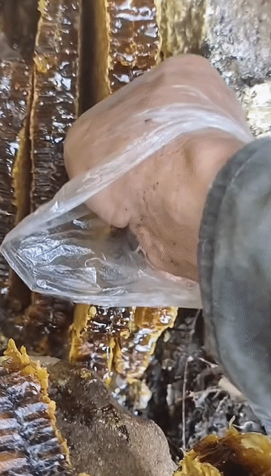 41f56aa1ec7a04ff1d4dc08c4874b750.gif