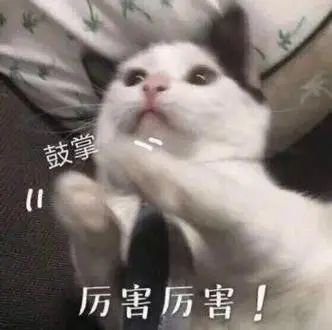 fbdf81b346da6502ae8e3624cbc2a013.jpg