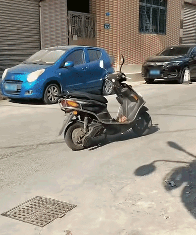 25394d8dfffb475e58be365d482b455c.gif