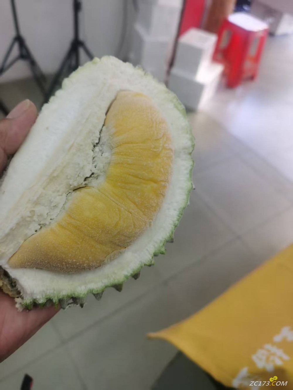 ÿóʵ