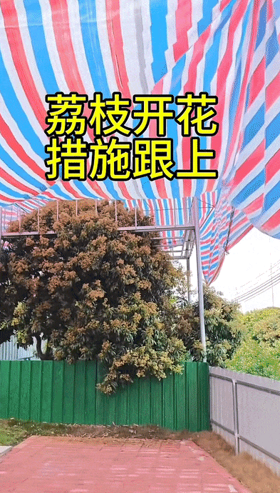 28.gif