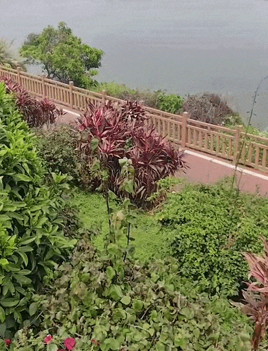 55.gif