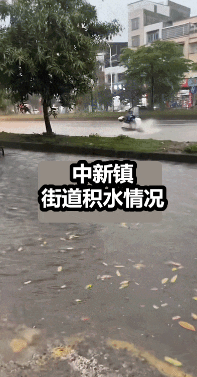 88.gif