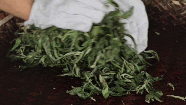 10.gif