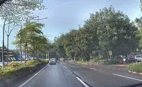 66.gif