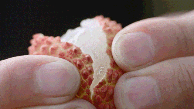 66.gif