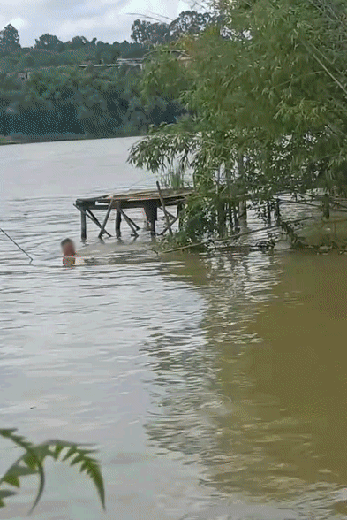 99a4d768814dce961b57a4935bd167cf.gif