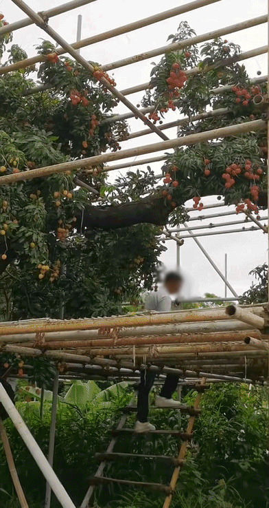 a7d97126dc5e4adcdb29152b9342f6fb.gif