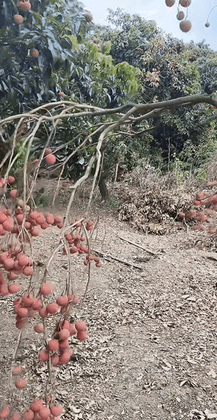823ec44bcd069eb77c46b3299ba74e13.gif