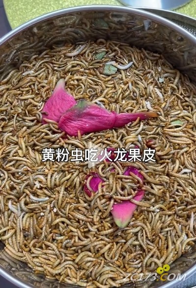 ΢Žͼ_20250710133138.png