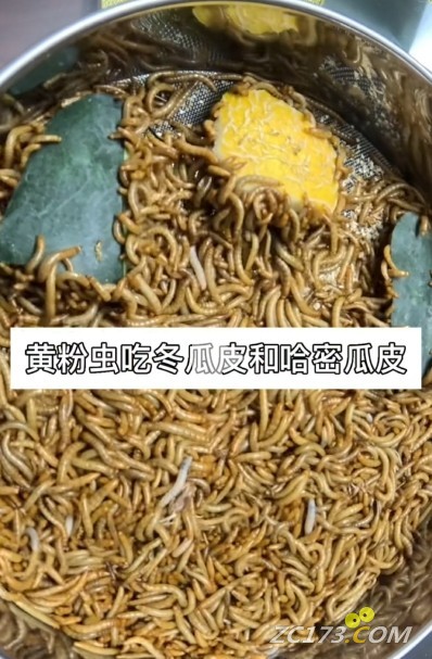 ΢Žͼ_20250710133127.png