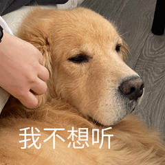 53f6fdd74d9795178010b8e4b1919abc.gif