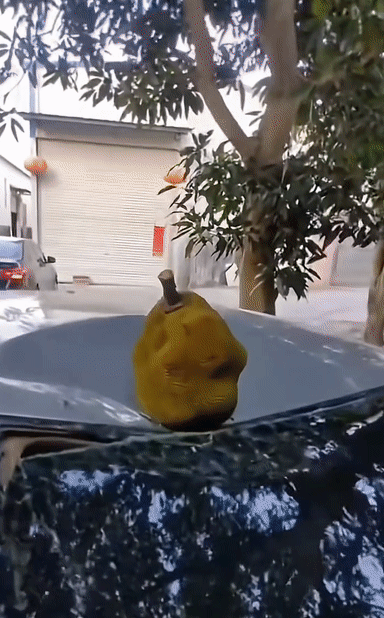 e892736d2465b6ec992bb7cfc328af14.gif