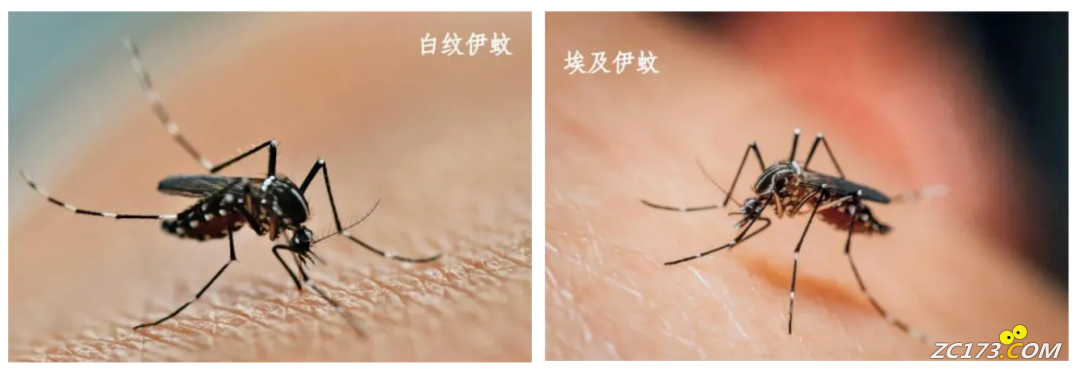 f768953efe6c9bc149c78a0628a10898.png