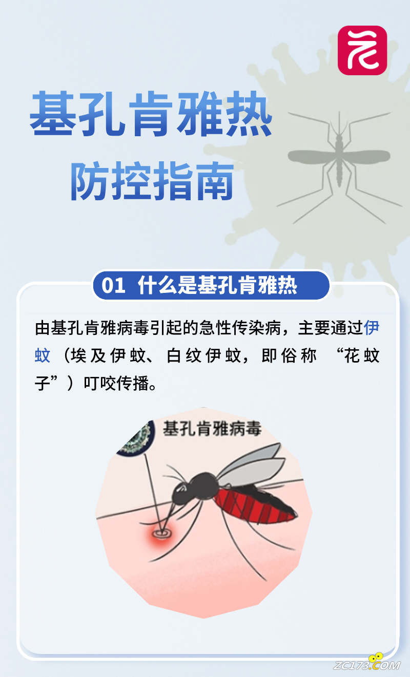 be036ca1190e5e8adc7702846127c0a6.png