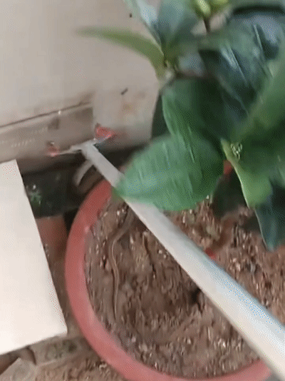 fff0fec38307fe29c33d25b9110b59ac.gif