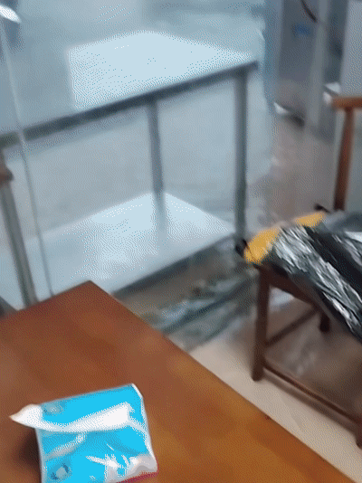 f006aad42650bd7cd83a5237b5d807eb.gif