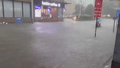 703b04a8d44220dec678e04543f8f621.gif