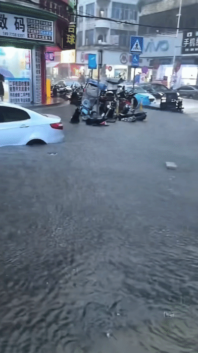 40ddd2c6ae22023c85e58380b6bac4b1.gif